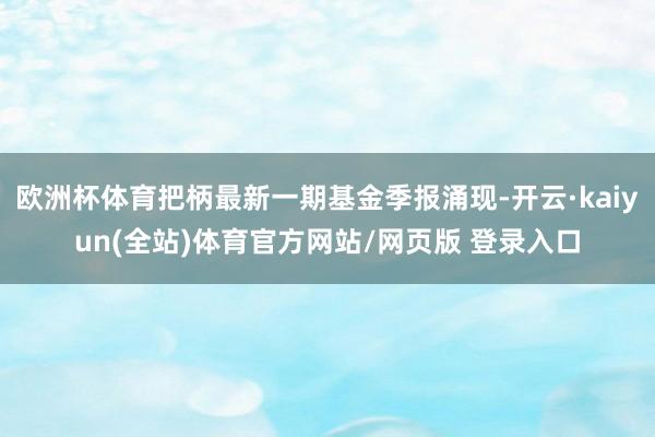 欧洲杯体育把柄最新一期基金季报涌现-开云·kaiyun(全站)体育官方网站/网页版 登录入口