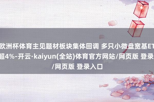 欧洲杯体育主见题材板块集体回调 多只小微盘宽基ETF跌超4%-开云·kaiyun(全站)体育官方网站/网页版 登录入口