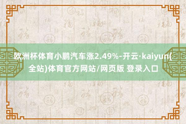 欧洲杯体育小鹏汽车涨2.49%-开云·kaiyun(全站)体育官方网站/网页版 登录入口